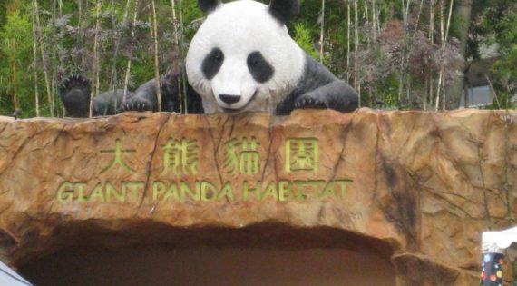 Ocean Park Redevelopment
